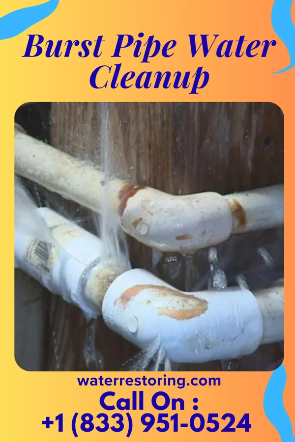 Burst Pipe Water Cleanup in Boaz, WV