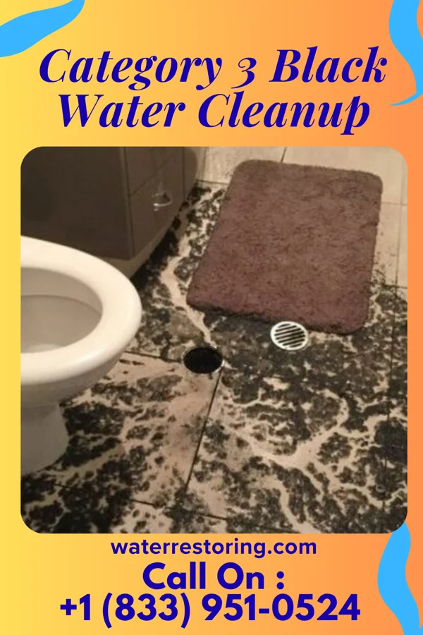 Category 3 Black Water Cleanup in Boaz, WV