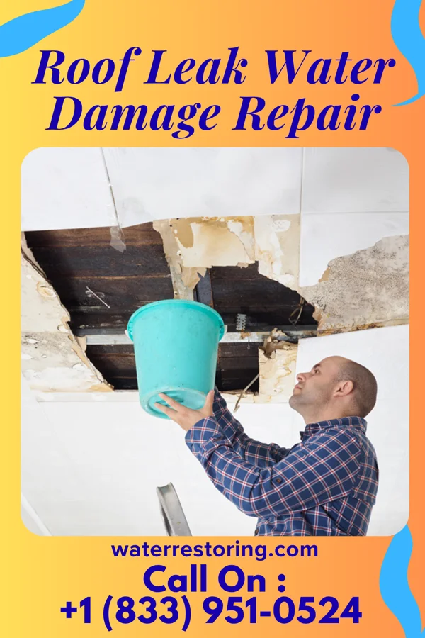 Roof Leak Water Damage Repair in Boaz, WV