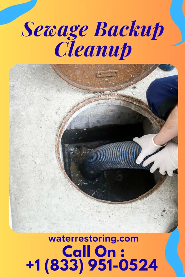 Sewage Backup Cleanup in Boaz, WV