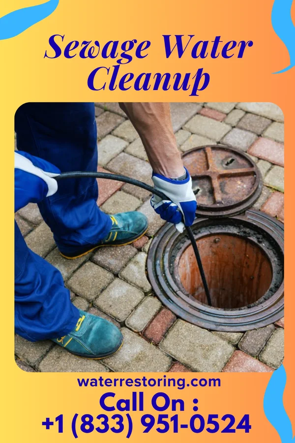 Sewage Water Cleanup in Boaz, WV