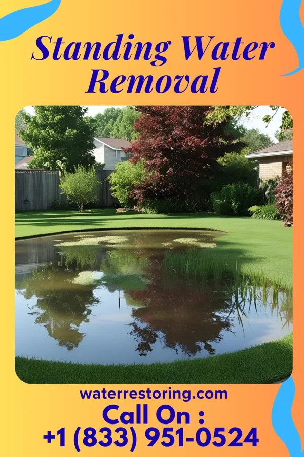 Standing Water Removal in Boaz, WV